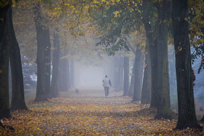 parcosudmilano